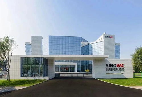 中國藥企出海動態 跨國交易與投資控股趨勢分析